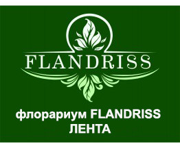 Конструкция флорариума FLANDRISS "ЛЕНТА"